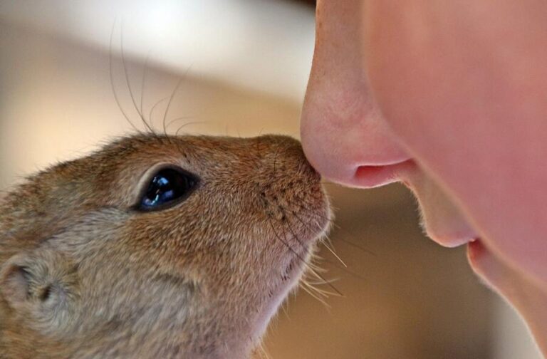 15 Superstitions Of When Your Nose Itches Like Crazy